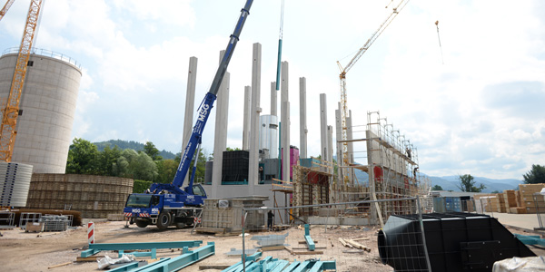 2024-06-SBL-BioMass-Keller-7811